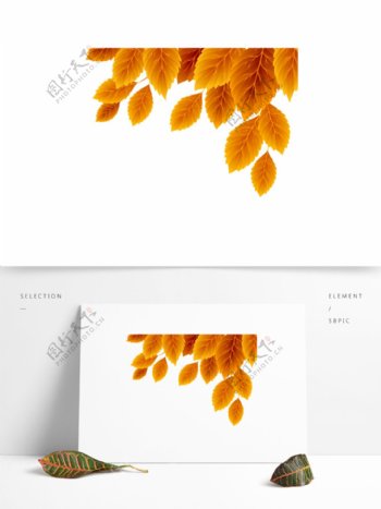 水彩秋季叶子透明装饰素材