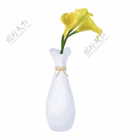 手绘简约风白瓷花瓶里的黄色马蹄莲装饰元素