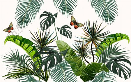 热带植物和蝴蝶