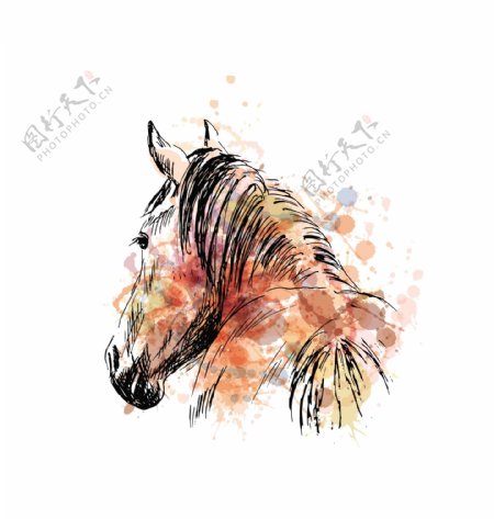 彩色喷绘线描马装饰图
