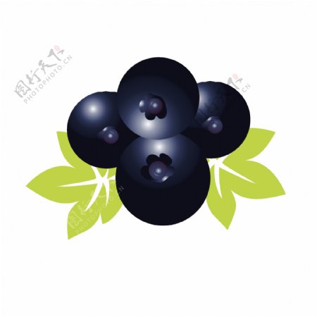 手绘水果蓝莓插画