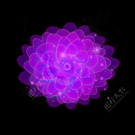 情人节浪漫唯美炫酷紫色荧光花卉效果元素高清图