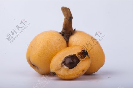 新鲜水果枇杷果实物图摄影图2