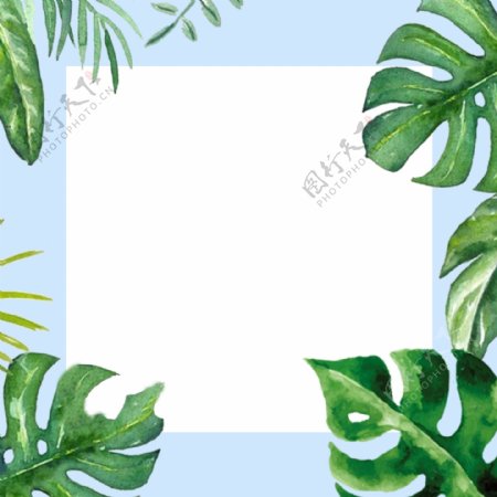 绿色植物叶子女装PSD分层主图背景素材