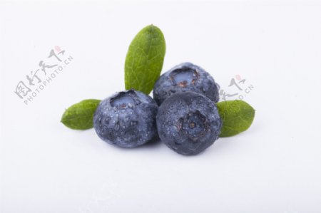 新鲜蓝莓实物图摄影图3