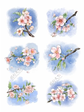 水彩套图樱花植物花朵小清新春天手绘风桃花