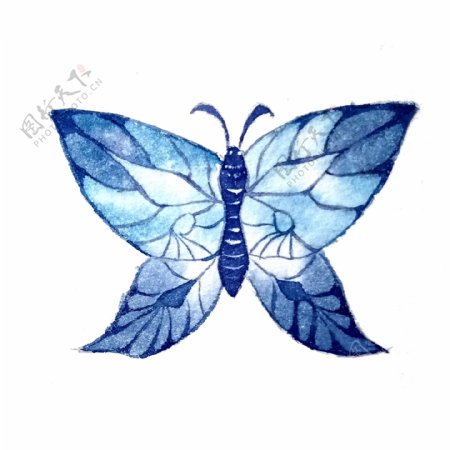 蝴蝶翅膀蓝色透明昆虫美丽PNG