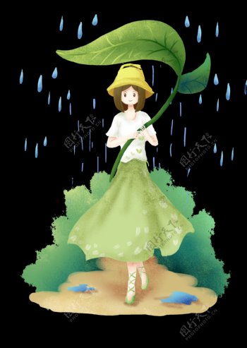 谷雨节气叶子插画
