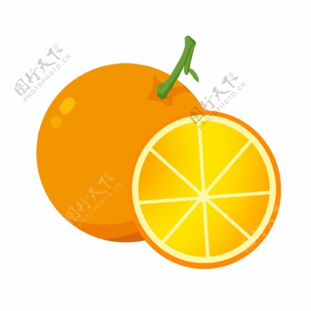 黄色橙子切面插画