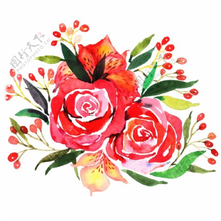 红色的花朵手绘插画