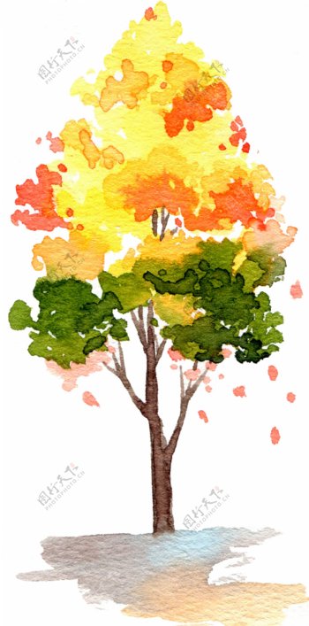 卡通手绘水彩树木黄色创意叶子