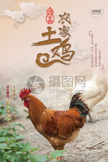 农家土鸡宣传海报