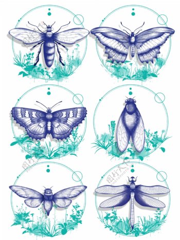 立夏昆虫线描卡通手绘动物装饰素材蝴蝶蜻蜓
