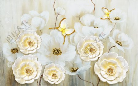 白色花朵背景