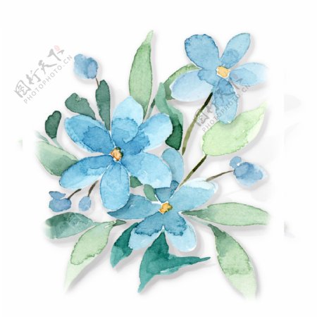 蓝色清新花朵装饰元素