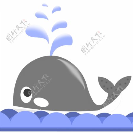 黑色海豚生物