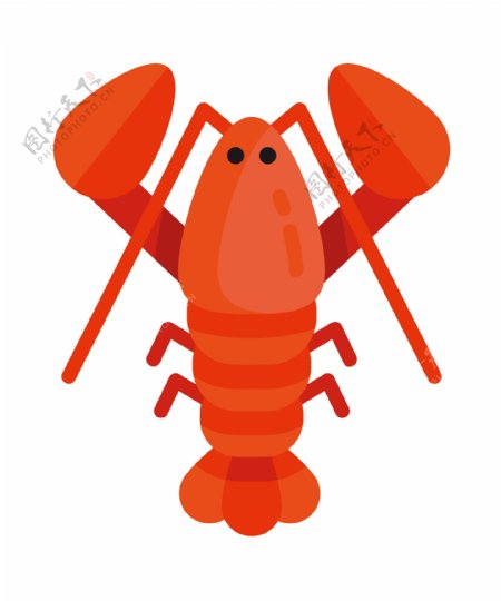 胖胖的红色龙虾插画