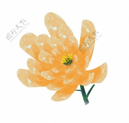 橘色的花朵装饰插画