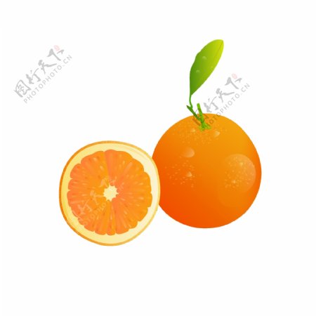 矢量水果元素之橙子