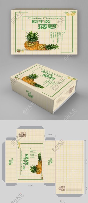菠萝水果产品包装盒北欧简约风包装设计