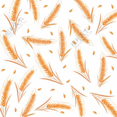 创意小清新手绘风小麦装饰图案