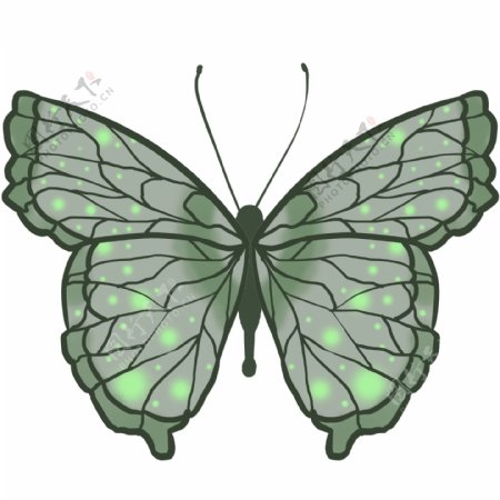 动物昆虫蝴蝶绿色