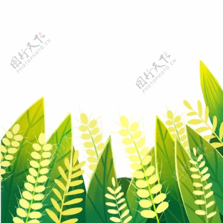 绿叶麦穗树叶图案元素