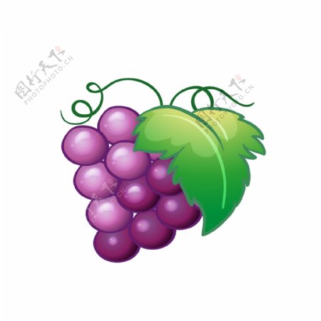 水果葡萄矢量元素卡通