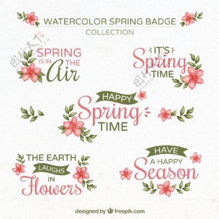 5款彩绘春季花卉徽章矢量素材