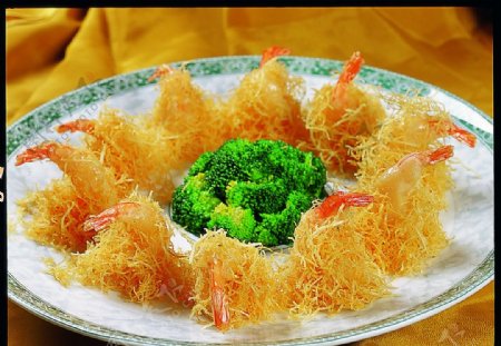 金丝兰花虾