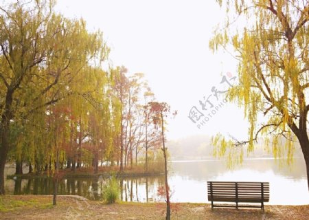 秋季湖边小景秋季公园
