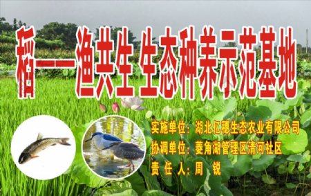 示范基地水稻渔示范基地生