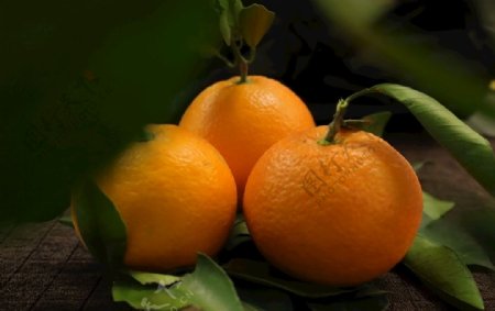 橙子熟了