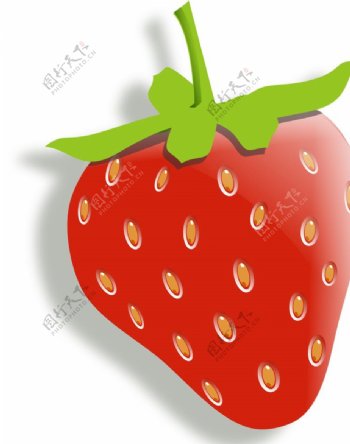 草莓动画