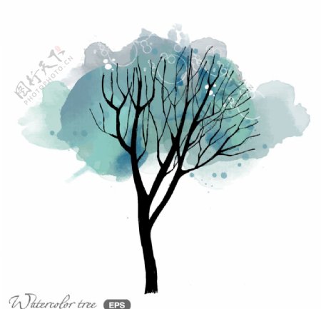 梦幻水彩植物树木插画