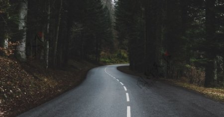 森林公路风景背景