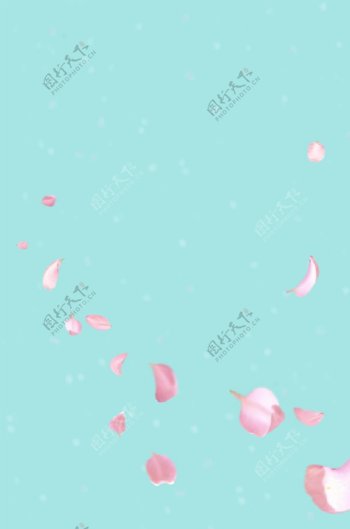 粉色花花