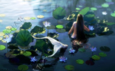 池塘里的美人鱼形象同人手绘壁纸