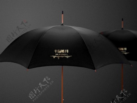 雨伞样机雨伞贴图