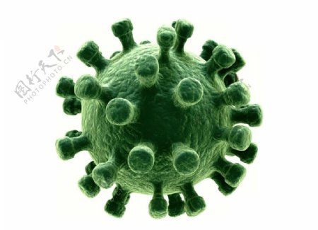 病毒绿色细菌病毒