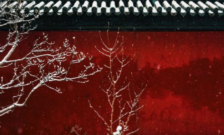 下雪的老北京的红墙