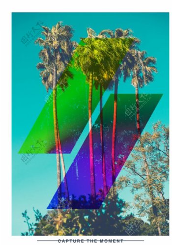 彩色椰子树摄影潮流艺术海报