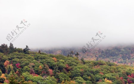 云雾缭绕的山顶风光摄影