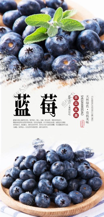 蓝莓水果分层海报