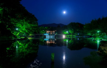 日本公园夜晚美丽风景