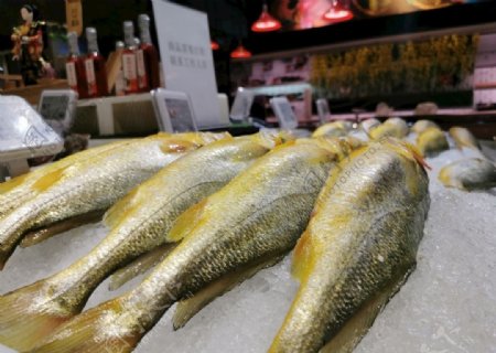 超市里的大黄鱼