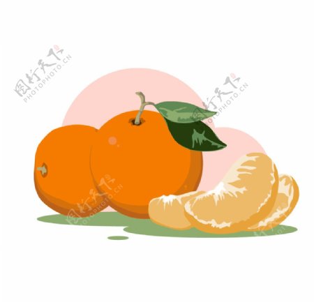 水果系列矢量插画之橘子