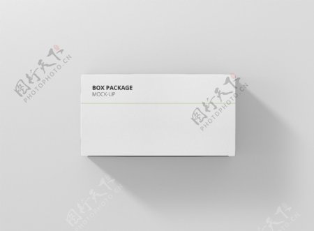 纸盒药盒包装样机vi包装效果图