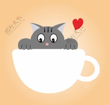 咖啡杯猫