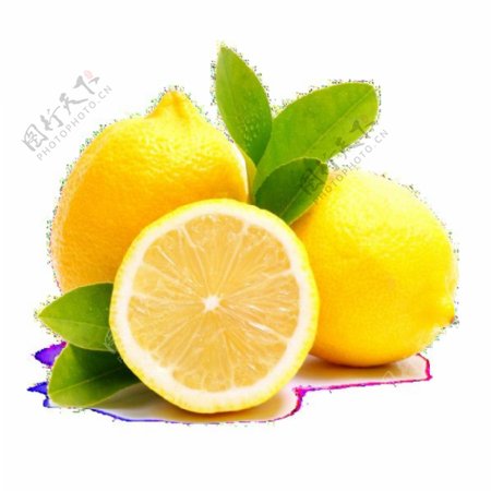 水果图标水果图片精美清新柠檬